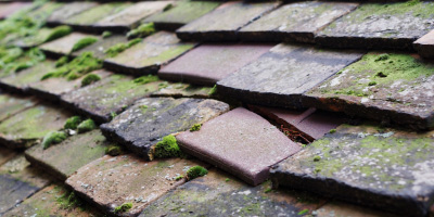 Redcliff Bay roof repair costs